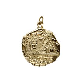 Merit Award Medal (J97 M)