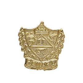 Reward Pin (J33 P)