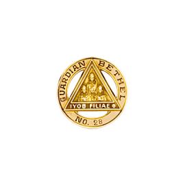 Bethel Guardian Pin (J15)
