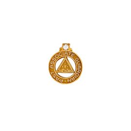 Past Associate Guardian Tie Tac (J71)