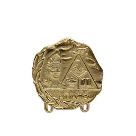 Merit Award with Attachment Loops