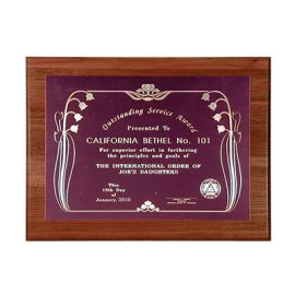 Special Recognition Plaque (JP23)