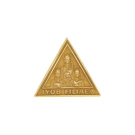 Membership Pin 3/4 Inch (J1)