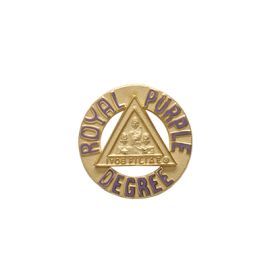 3/4" Royal Purple Degree Pin (J149)