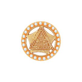 Past Associate Grand Guardian Tie Tac (J87)