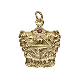 Reward Medal with Stone (J33 MS)