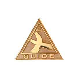 Guide Pin (J55)